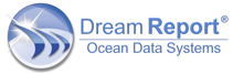 Dream riport logo